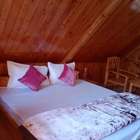Forest View Cottage Jibhi Exteriér fotografie