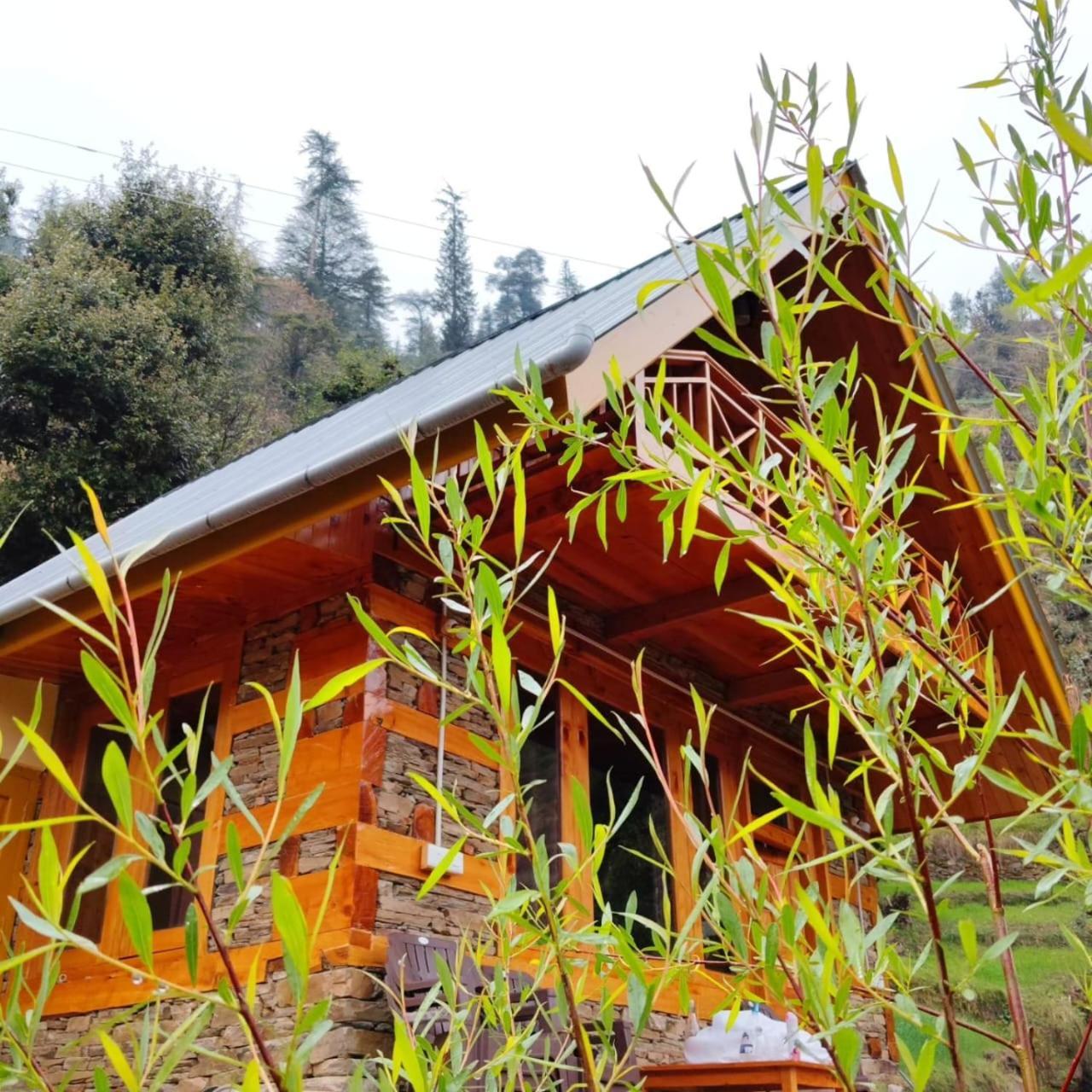 Forest View Cottage Jibhi Exteriér fotografie