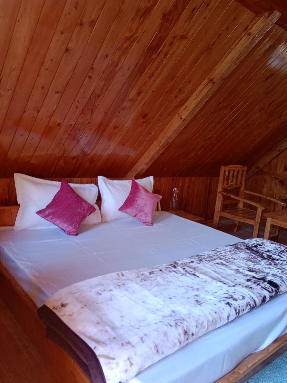 Forest View Cottage Jibhi Exteriér fotografie